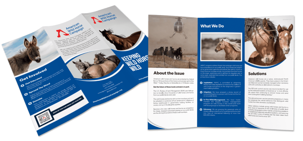 brochures - nonprofit print marketing